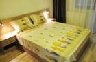 Dau in chirie apartament decomandat 2 camere bloc nou-zona D.Cantemir - 8