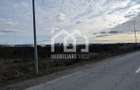 Teren intravilan industrial 5.755 mp | Bon?ida - 6
