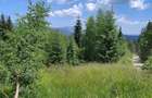 Vand teren intravilan Pojorata Bucovina, 15 e mp - 4