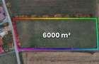 Teren de 6000 mp, în Copalnic