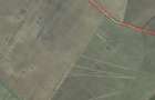 Teren agricol 49 Ha, comuna Gratia DJ 701 Teleorman - 1