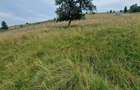 Vindem teren cu peisaj superb in Bucovina - 3