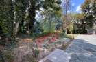 Teren de vanzare pe str Mihail Kogalniceanu/Craiova/Ultracentral - 5