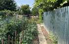 Ai obosit de agitația orașului? Poate că „acasă” te așteaptă la Pogoanele. 🏡 - 6
