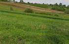 Reco Teren intravilan zona Mini Paradis