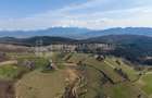 Teren Intravilan 3.791 mp | Priveli?te Panoramica Superba | Poiana Mar - 9
