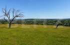 Teren de vanzare in Adancata, 4500 mp - 2
