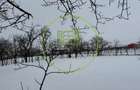 Teren de vanzare, exclusivitate, 0% comision, 35000 Eur - 6