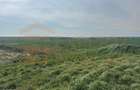Teren intravilan 10.000 mp | DN | in Zona Volvo - Hala Neagră - 1