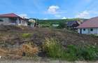 Teren Chinteni, 756 mp,zona lacului, intre case, front la 2 strazi - 5