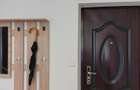 Apartament de inchiriat nou ,zona campului , alea porumbelelor Nr. 3 - 1