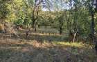 Teren intravilan - zona Roci REPREZENTARE EXCLUSIVA