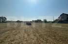 Teren intravilan, 9873mp, zona Cetate - 1