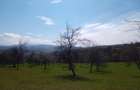 teren in Timi? zona de munte Valea lui Liman - 5