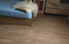 Casa cu 2 dormitoare si teren 1233 mp, Scrioastea, Teleorman