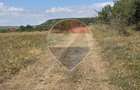 Teren intravilan de vanzare 843 mp Chinteni - 4