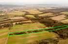 RECO Teren intravilan in Ceica Bihor - 8