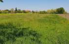 Vand teren intravilan 1.500 mp Iratosu, zona linistita, iesire spre Dorobanti - 5