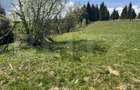 Teren in Vatra Dornei, str Rosu, 8450 mp, extravilan + intravilan - 1