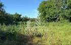 Casă de cărămidă în Sustra ,Topolovatul Mare cu teren de 1522 mp. - 14