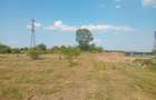 Spațiu comercial, în Filipeștii de Pădure - 4