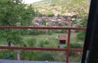 Casa cu gradina de vanzare - 7