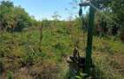 Se vinde casa + 2500 mp teren in Padureni .25 km de Bucuresti - 1