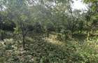 Teren intravilan de vanzare, 900 mp, Dej - 6
