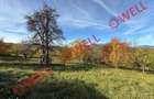 Casa de vanzare in Sohodol, Bran, cu teren de 4.831 m2!