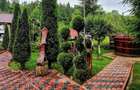 Proprietate de vanzare Sat Cheia - Prahova - 2
