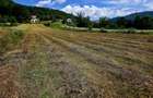 Teren 600mp Viisoara / Strada Primaverii
