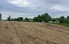 Lapusel, teren 40 ari - 1