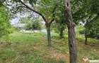 Casa de vanzare cu teren 9200 mp, Padureni-?endriceni, Boto?ani - Padureni (sendriceni) (Botosani)
