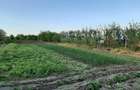 Teren intravilan agricol