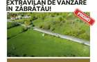 Teren extravilan de vânzare în Sita Buzăului – Zăbrătău!