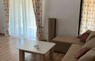 Proprietar - duplex parter Dumbravita - 8