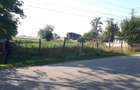 Teren Miroslovesti, Pascani - 3