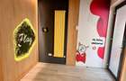 VILA PREMIUM ZONA KISELEFF / CLUCERULUI / BIROURI / IMOBIL 2020