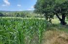 Teren agricol sat.Voroveni - 6