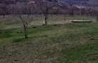 Teren intravilan 6.000 mp, Suceagu zona linistita, aproape de - 4