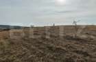 Teren extravilan 6 ha, Stejeris, com Moldovenesti - Moldovenesti (Cluj)