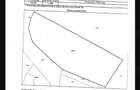 Teren 1296 mp, intravilan, utilita?i complete, Vidra Ilfov DIRECT PROPRIETAR - 3
