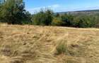 Vand o parcela teren 1600 mp in Cisnadioara ,prelungire la strada Ciresilor - 4