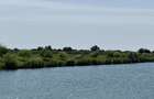 Balta de Pescuit, Cabana din Busteni, Teren 6,37 ha, langa Oradea - 6