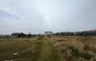 55 / mp negociabil - Teren intravilan zona accesibila, Apahida - 4