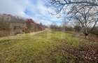 Teren extravilan, 4 hectare, langa livada de mere Ghinda - 6