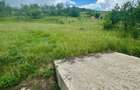 Teren intravilan 4.200 mp | Bunesti, jud. Cluj | Front 40 m la drum e - 3
