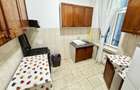 Apartament 3 camere de inchiriat langa Cismigiu - 11