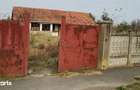 Casa veche din 1955 si teren intravilan 6153 mp, Sinersig,Jud Timis - 11