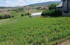 Teren intravilan 3.000 mp, Zalau Ortelec, zona Pe Deal / strada Deleni - 3